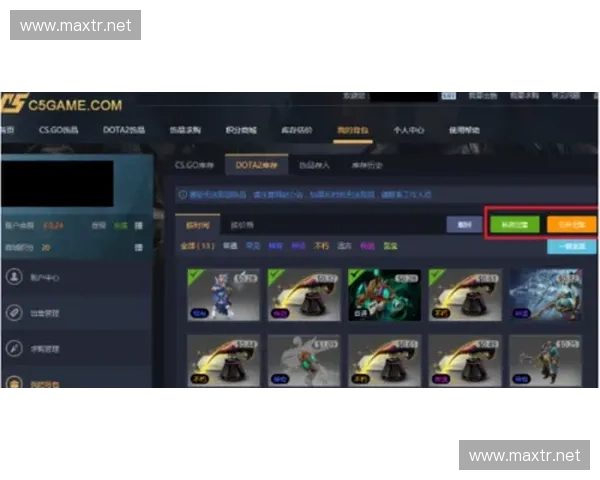Dota2控罩机制详解与应用策略分析助力玩家提升游戏技巧